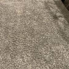 fort worth carpet tile cleaning 15