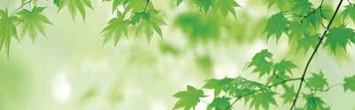 green leaf banner hd pictures free