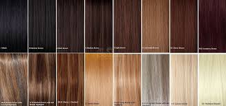 49 Qualified Hair Extension Color Number Chart