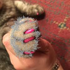 2 20 pcs soft cat dog nail caps pet paw