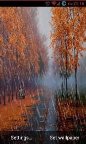 free autumn rain live wallpaper apk