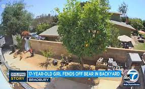 The los angeles daily news is the local news source for los angeles and the san fernando valley region, providing breaking news, sports, business, entertainment, things to do, opinion, photos, videos and more from l.a. Teen Shoves Bear That Swatted Family Dog In Southern California Yard