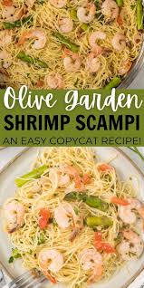 olive garden shrimp sci recipe