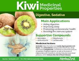 kiwi herbazest