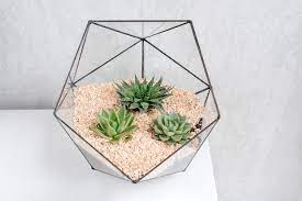 Premium Photo Glass Florarium Vase