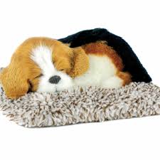 mini beagle tfh special needs toys usa
