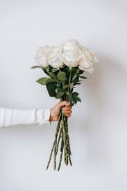 the meaning of white roses article on