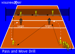 volleyball p and move with simulated