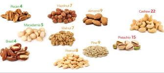 What happens if my cat eats peanuts? Can Rabbits Eat Nuts Including Monkey Nuts Pets Mentor