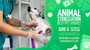 veterinary clinic banner free vectors