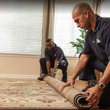 chicago illinois carpet cleaning