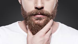 Виды бороды у мужчин [фото и названия] — красивые варианты форм бороды для  разных типов лица