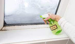 does vinegar kill mould and mildew