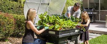 Raised Garden Beds Bulleen Art Garden