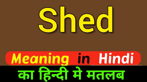 shed meaning in hindi shed ka matlab