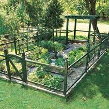 vegetable garden fence ideas diy