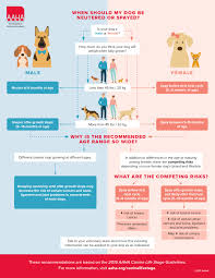 when should i spay or neuter my pet