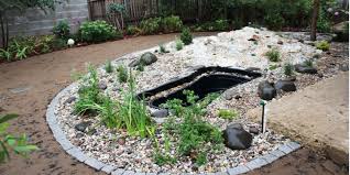 6 Best Preformed Ponds Durability