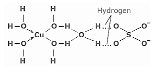 hydrogen bonded water molecules