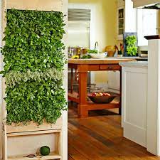 Indoor Vertical Garden