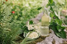 elderflower cordial recipe best