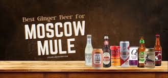15 best ginger beers for moscow mule
