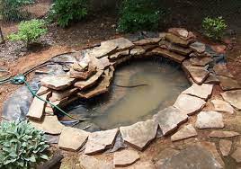 Water Garden Or Pond With A Waterfall