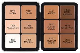 beginner makeup artist kit essentials