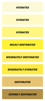 The Benefits Of Hydration During Exercise Our 31 Day