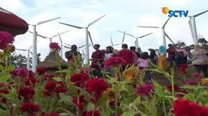 Taman bunga kampung jambu kecamatan kadu hejo kabupaten pandeglang. Berita Taman Bunga Hari Ini Kabar Terbaru Terkini Liputan6 Com