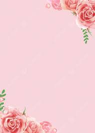 pink rose flower background wallpaper