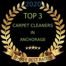 professional carpet cleaner in