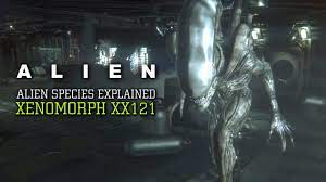 The Xenomorph XX121 - Alien Species Explained - YouTube