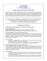 Executive Resume Services Denver  executive resume writer laura     An Expert Resume Resume Writing Tips for Nurses