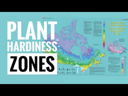 hardiness zone in canada plant labels