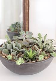Diy crafts, diy projects, garden & landscape. How To Make A Succulent Bowl Centerpiece Love Grows Wild