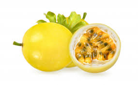 Free png images, pictures and cliparts for design and web design. Passion Fruit Png 97 Images In Collect 559231 Png Images Pngio