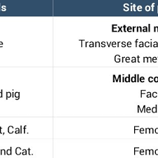 The Normal Colour Of Mucous Membrane Of Different Animals
