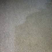 dunrite carpet and upholstery cleaning