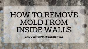 how to remove mold from inside walls