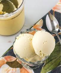 ninja creami dairy free vanilla ice