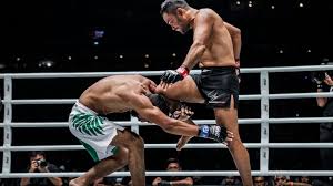 muay thai is an excellent base for mma