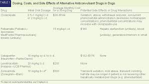 Alternative Anticonvulsant Drugs For Dogs With Seizure Disorders