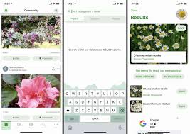 Plant id apps help gardeners identify plants just by taking a picture! The 8 Best Plant Identification Apps Of 2021
