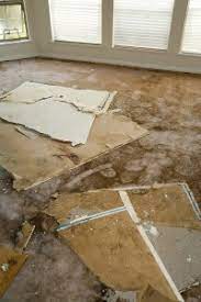 Water damage can be costly, especially if you don't address it immediately. Water Damage Insurance Claim Insurance Claim Consultants