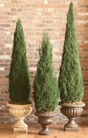 Live Artificial Topiary Trees Plants