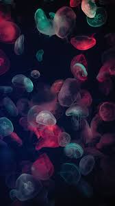 jellyfish wallpapers top 25 best