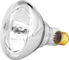 Pentair Amerlite Swimquip Light Bulb 100 Watts 12 Volts Reflector Flood 79101800 Apc12100m5