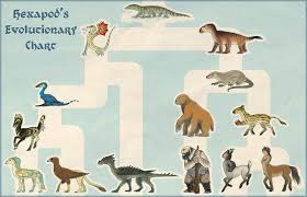 How Can 4 Limbed Animals Evolve From 6 Limbed Animals