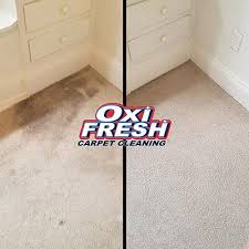 carpet cleaning services oxi fresh